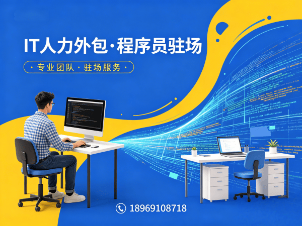 合肥IT人力外包解决方案：大数据开发程序员或工程师外包如何助力企业高效用人