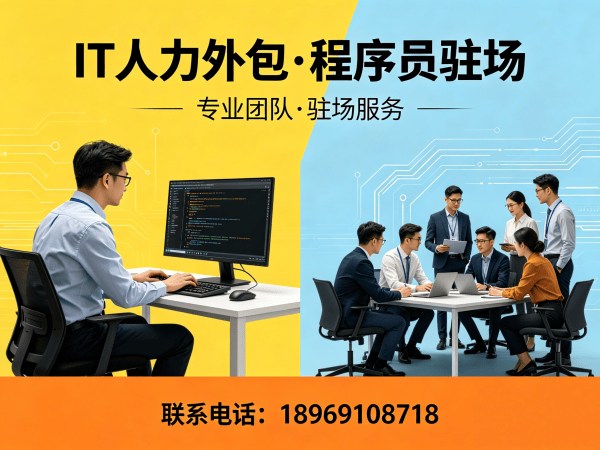 青岛IT人力外包解决方案：后端开发程序员驻场开发的高效用人之道