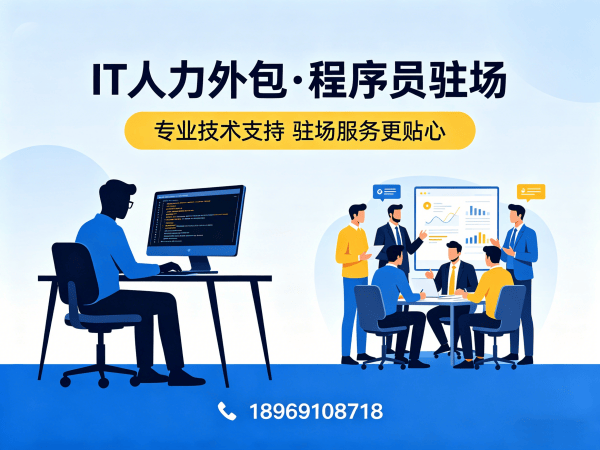 天津IT人力外包解决方案：数据标注工程师程序员外包服务，解决企业技术人才短缺难题