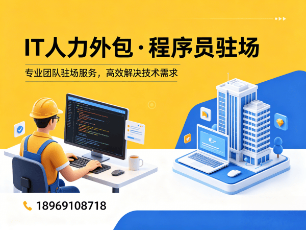 泉州Go开发程序员外包性价比分析：专业IT人力外包服务解决方案