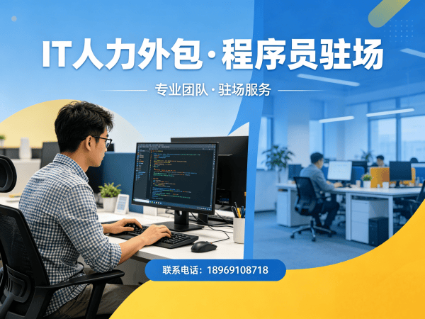 南京Go开发程序员外包解决方案：解决企业IT人才招聘难题