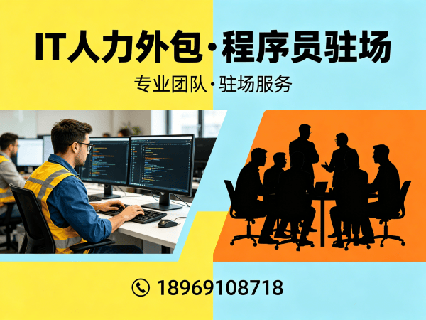 武汉IT人力外包解决方案：破解人形机器人开发工程师招聘难题