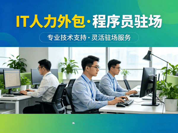 武汉IT人力外包解决方案：人形机器人开发工程师程序员外包服务